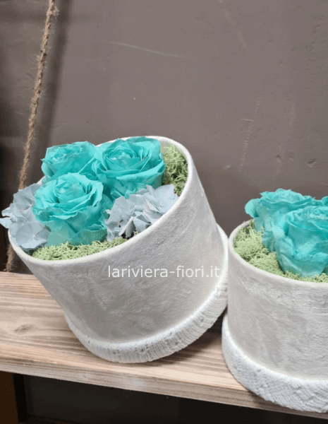 Composizione rose stabilizzate